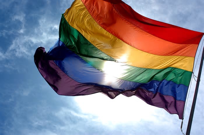Conferência LGBTQIA+ tem regimento publicado e inscrições abertas