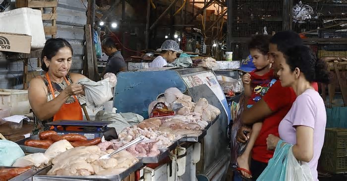 Gripe aviária: técnicos do governo veem limitada e temporária queda de preços de frango e ovos