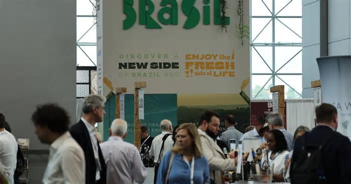 Oito vinícolas brasileiras participam de feira em Miami