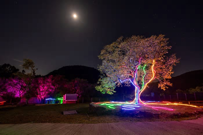 Lumni Experience inicia venda antecipada de ingressos com desconto para estreia em junho em Gramado