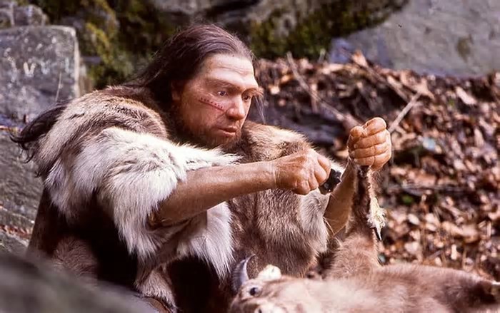 Neandertais usavam as lanças de madeira mais antigas do mundo para caçar cavalos há 200 mil anos