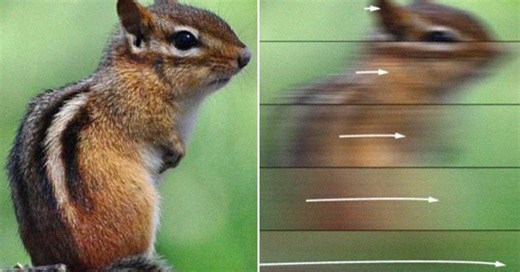 Quão rápido uma coisa precisa se mover para ficar invisível aos olhos humanos?