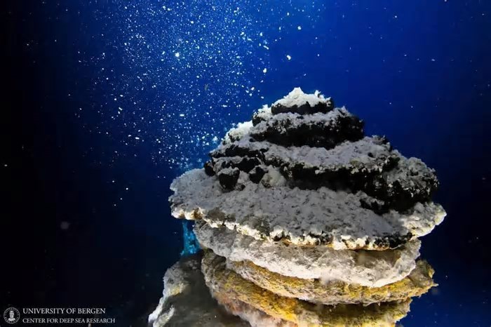 Fundo do oceano: menos de 0,001% é conhecido pela ciência