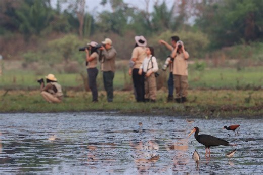 Instituto Mamede une ciência, turismo e afeto em prol da transformação socioambiental