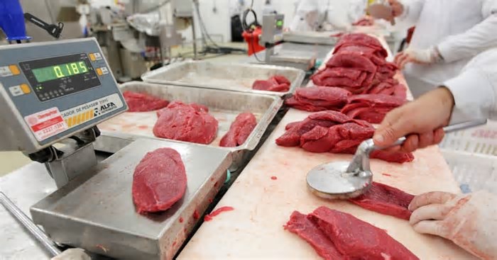 Abertura do Japão à carne bovina brasileira deve ocorrer ainda em 2025, diz presidente da Abiec