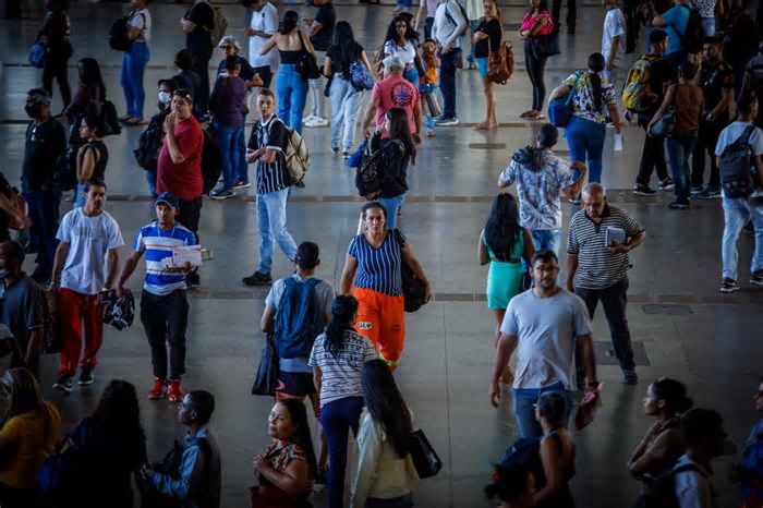 Renda dos brasileiros sobe 4,7% em 2024 e renova recorde puxada por salários e benefícios sociais