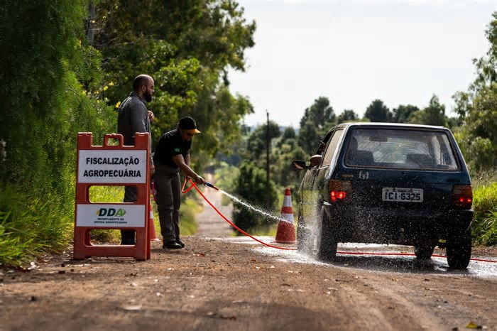 Gripe aviária: Defesa Sanitária começa a reduzir barreiras no local do foco