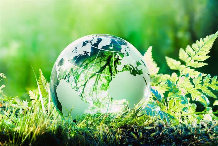 Accenture abre escritório em Belém para acelerar a inovação tecnológica na Amazônia
