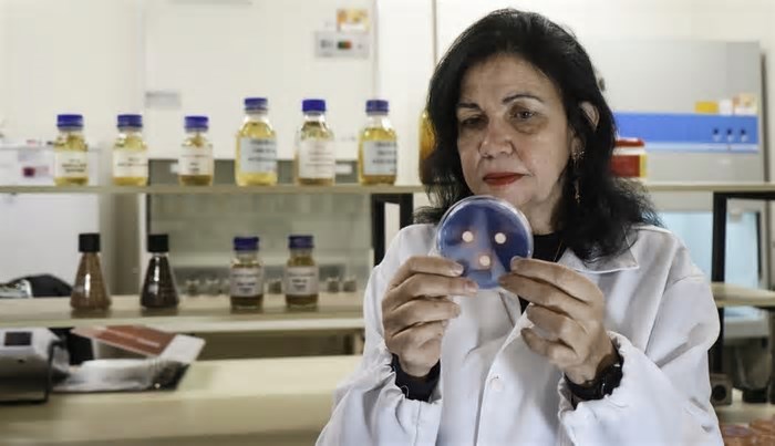 Prêmio comprova relevância de ciência e tecnologia para o desenvolvimento