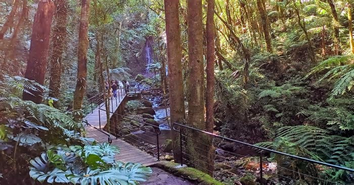 Conheça um oásis com cachoeira, trilhas e ponte pênsil a 10 minutos do centro de Gramado