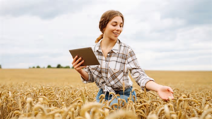 Como a Inteligência Artificial afeta o meio ambiente e o que fazer sobre isso