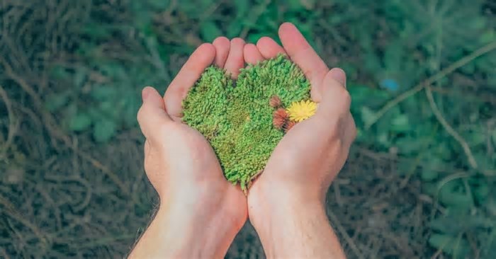 Caxias do Sul inova na Semana Municipal do Meio Ambiente 2025 com foco em atitude sustentável