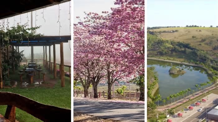 Casacos prontos? Confira três destinos para curtir o frio na região de Ribeirão Preto