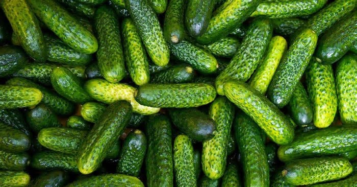 Importante na dieta, saiba mais sobre o pepino, que tem baixas calorias e traz benefícios para a saúde