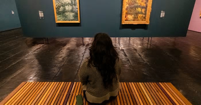 Virada Cultural 2025: 6 museus com entrada gratuita para visitar durante o evento