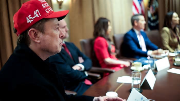 DOGE: Elon Musk deixa cargo do governo Trump nos Estados Unidos