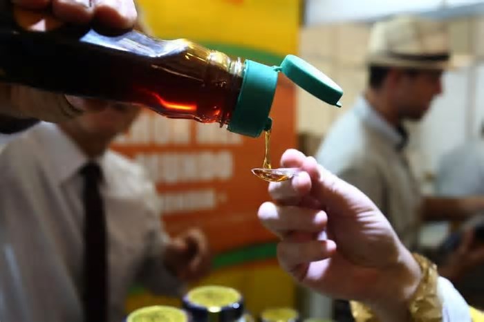 Feira do Mel de SC volta ao Largo da Alfândega com mais atrações e novidades em 2025