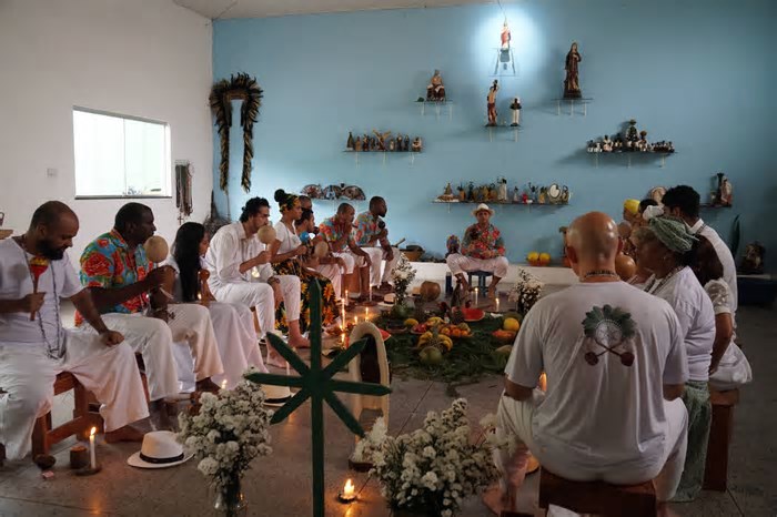 Livro mergulha no poder alucinógeno da jurema, que inspirou da religião à ciência