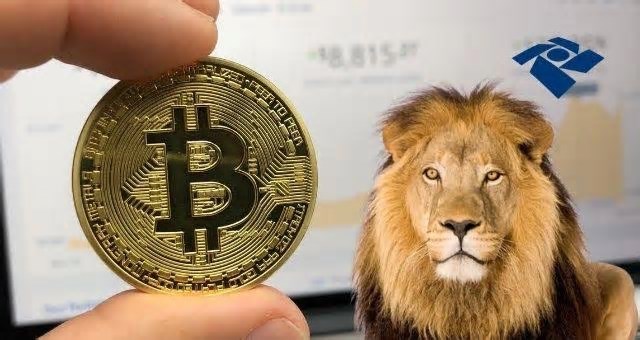 Imposto de Renda 2025: saiba como declarar investimentos e criptomoedas