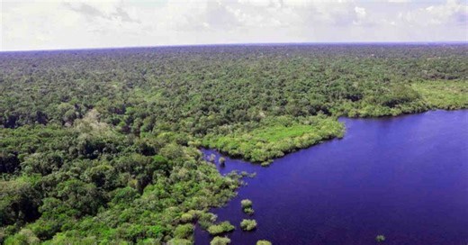 Brasil pode ser líder em turismo sustentável, aponta pesquisa