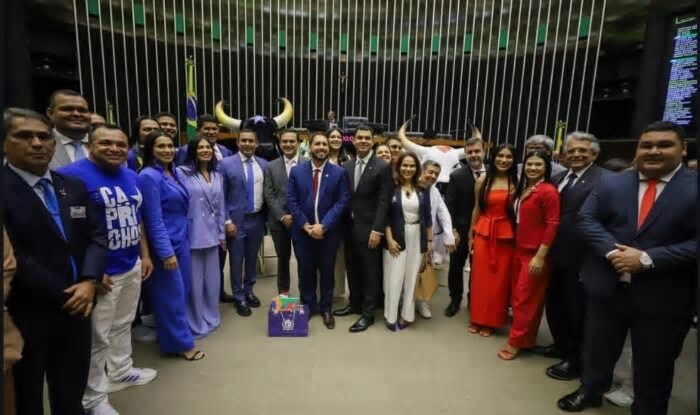 Festival de Parintins é destaque em sessão solene na Câmara