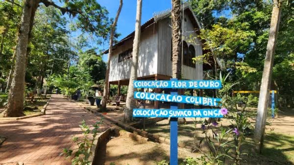 Único seringal urbano do mundo, Parque Capitão Ciríaco preserva história viva do Acre no Centro de Rio Branco