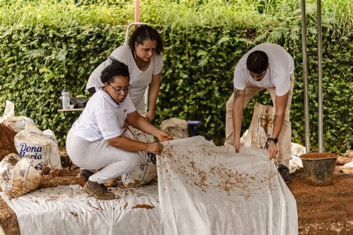 Arqueólogos identificam vestígios de ossos humanos em cemitério de escravizados na BA