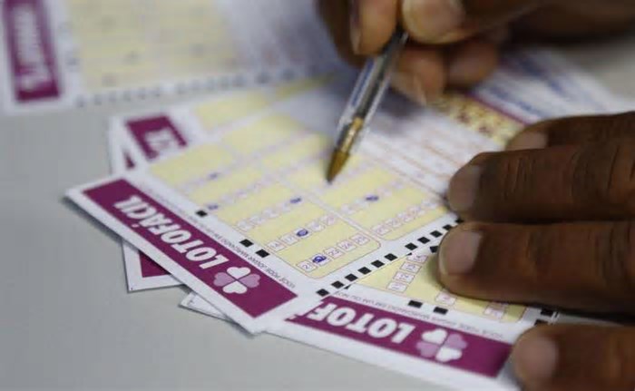 Confira o resultado da Lotofácil, concurso 3399, desta sexta-feira (23/05); prêmio é de R$ 1,8 milhão