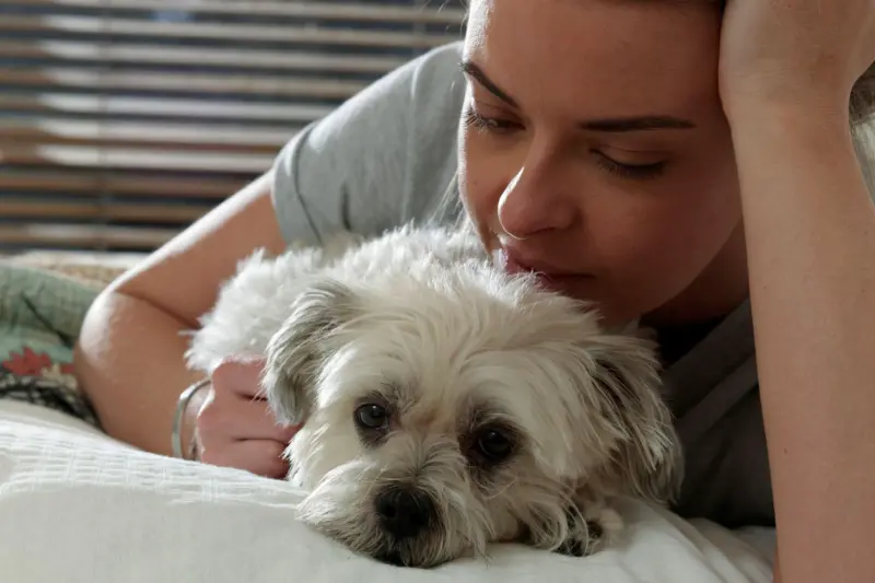O dilema de prolongar a vida dos pets: 'Foi por amor que decidimos deixar nossa cachorrinha partir'