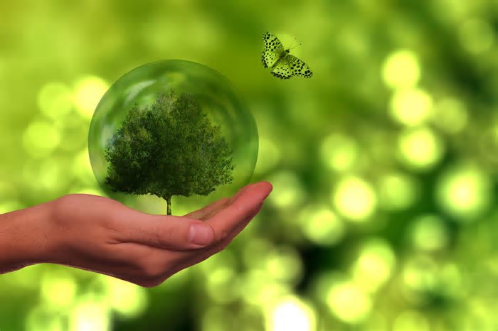 Metade das empresas paulistas acredita que COP30 vai influenciar suas ações ambientais