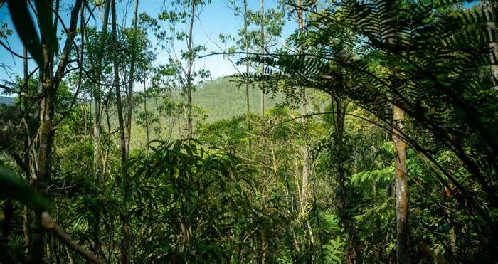 10 lugares em São Paulo que quase ninguém lembra na hora de viajar