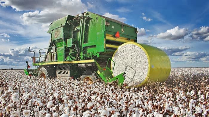 Cuiabá recebe workshop para melhorar qualidade do algodão nos dias 26 e 27 de maio