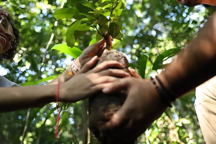 Governo de Pernambuco promove Semana de Meio Ambiente a partir deste sábado (31); veja a programação