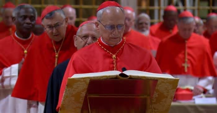 Papa Leão XIV recebeu mais de 100 votos no conclave, afirma cardeal