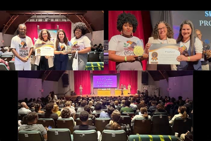 Projeto Raízes Kalungas do TJGO vence prêmio nacional de inovação em políticas públicas; Juíza Isabela Maia é destaque