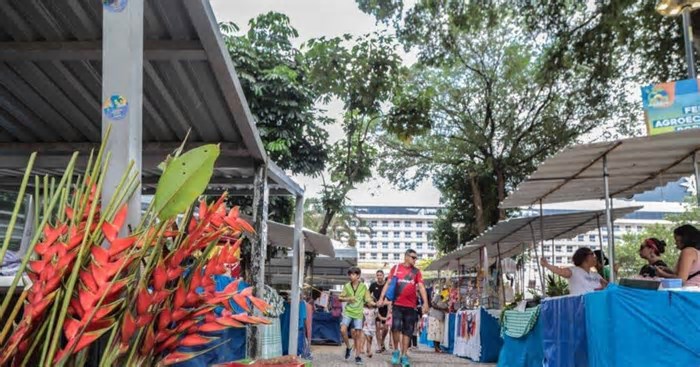 Feira agroecológica movimenta Comércio e valoriza produção local em Salvador