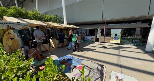 Dia Mundial do Meio Ambiente inspira programação cultural na cidade