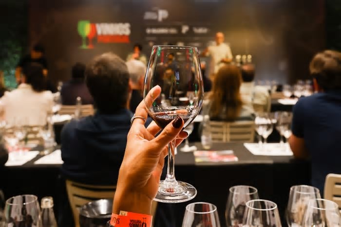Vinhos de Portugal chega a SP: confira curiosidades sobre as regiões produtoras para fazer bonito em conversas sobre a bebida