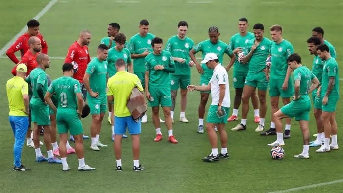 Veja situação de grupo do Palmeiras na Copa do Mundo de Clubes