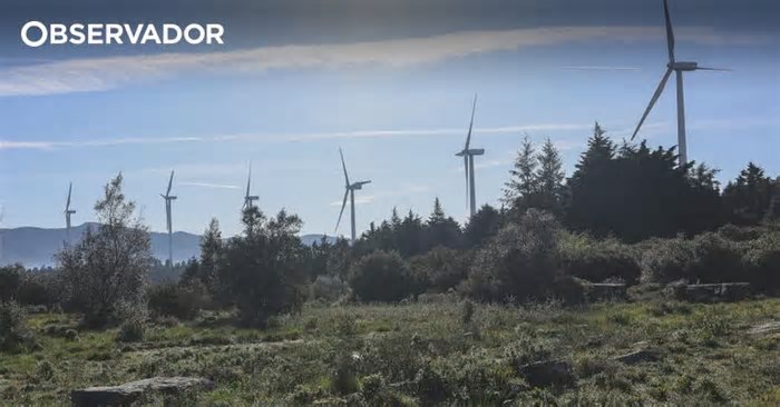 EDP ganha leilão para primeiro projeto de energia eólica na Alemanha