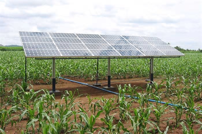 Minas Gerais lidera o Brasil com energia solar, café sustentável e metas ambientais para o futuro