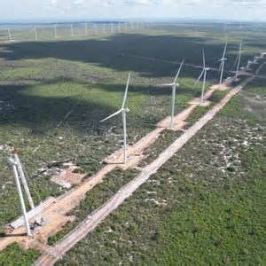 Alagoas aposta na combinação de energia solar e eólica para avançar na transição energética