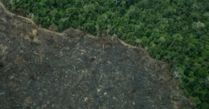 Nova Lei de Licenciamento Ambiental divide opiniões e volta à Câmara após 20 anos de debate