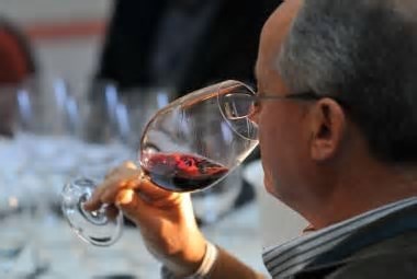 RoadShow de Vinhos de Portugal desembarca em Belo Horizonte no dia 10 de junho; veja programação