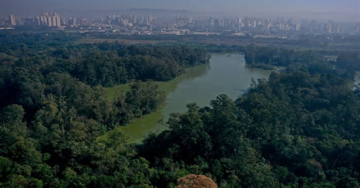Como é o plano de Tarcísio de conceder 6 parques de SP à iniciativa privada