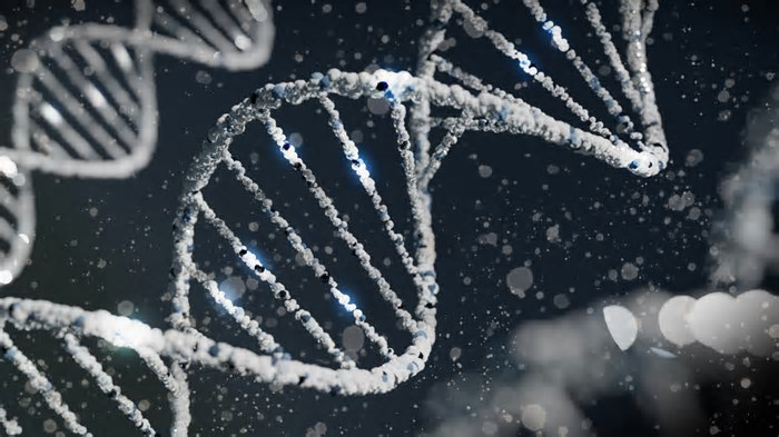 Cientistas encontram DNA de população desaparecida há 6 mil anos na Colômbia