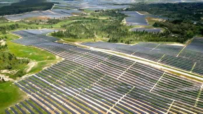 Azambuja tem o maior parque solar de Portugal