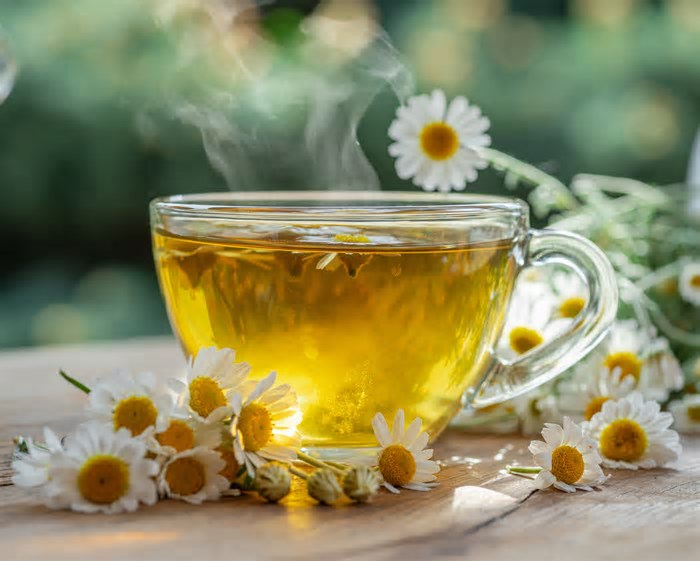 Chás anti-inflamatórios: camomila, erva-doce e chá verde viralizam nas redes, mas o que diz a ciência?