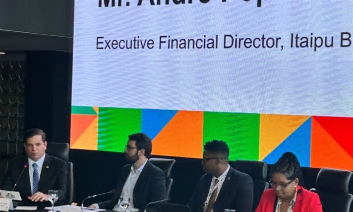 Em cúpula do BRICS, diretor da Itaipu destaca papel do jovem na transição energética