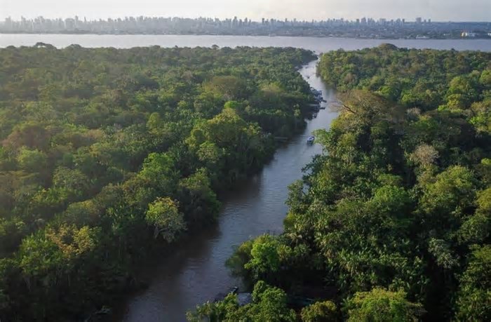 Diretor da Ocean Winds diz que realização da COP30 coloca o Brasil no centro do debate climático